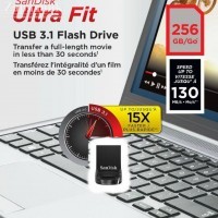 USB  _256 Gb SanDisk Cruzer Ultra Fit USB3.1 - Zk -    ,   